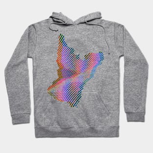 Abstract lines and colors Hoodie